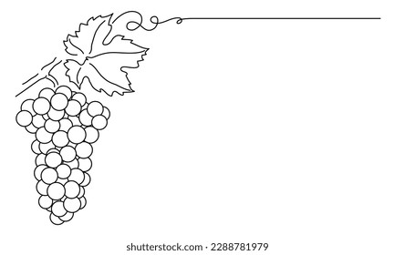 Montones de uvas.  Vine. Dibujo de línea de vectores sobre fondo blanco o transparente. Grapevina.