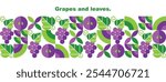Bunches of grapes.Leaves and berries.Abstract geometric design.Set of icons in simple flat style.Elements isolated on a white background.Seamless pattern and border.Organic food.Vector illustration.