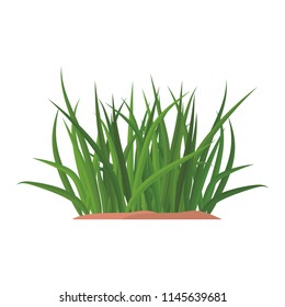 Bunches Of Green Grass On An Earthen Mound. Design Of Summer Cards. Flat Cartoon Illustration. Objects Isolated On A White Background.