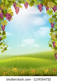 Bunches of red grapes like frame on the background of the rural landscape with valley, hills and sky. Vector illustration about the harvest and winemaking.