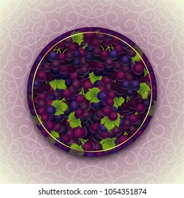 Bunches of the red and purple grapes with dew drops. Vector banner with fresh grapes