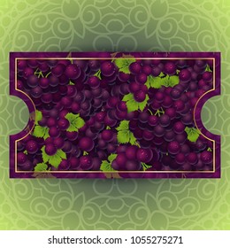 Bunches of the red and purple grapes with dew drops. Vector banner with fresh grapes