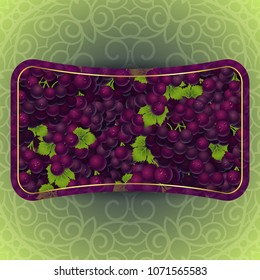 Bunches of the red and purple grapes with dew drops. Vector banner with fresh grapes