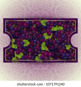 Bunches of the red and purple grapes with dew drops. Vector banner with fresh grapes