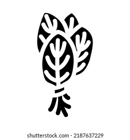 bunches spinach glyph icon vector. bunches spinach sign. isolated symbol illustration