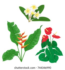 Bunches of tropical flowers isolated on white background. Tropic plant set.  Vector flat illustration