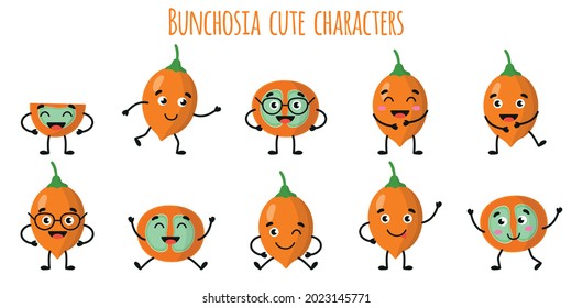 Bunchosia fruit cute funny cheerful characters with different poses and emotions. Natural vitamin antioxidant detox food collection. Vector cartoon isolated illustration. Children concept.