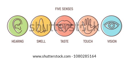 Bundle 5 Senses Hearing Smell Taste Stock Vektorgrafik Lizenzfrei