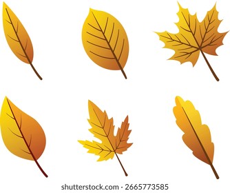 Pacote de 6 folhas de outono para o seu trabalho artístico . Ilustração de vetor.