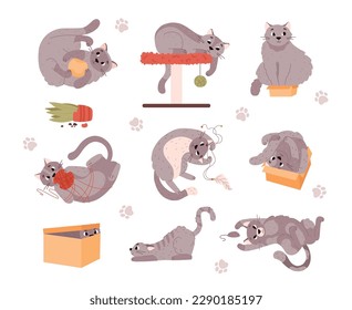 Bundle of adorable cats playing with toys and hiding in boxes, flat cartoon vector illustration isolated on white background. Playful adorable cats and kittens characters.