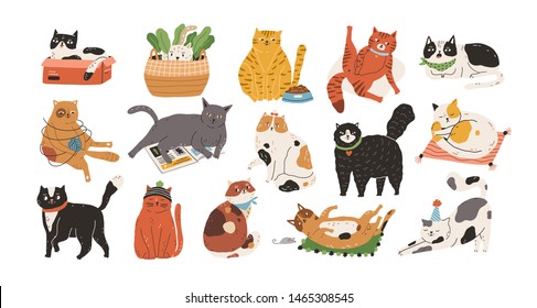 Bundle of adorable cats sleeping, stretching itself, playing with ball of yarn, hiding in box or basket. Set of purebred pet animals isolated on white background. Flat cartoon vector illustration.