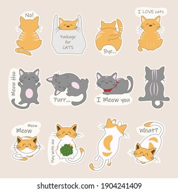 Bundle of adorable cats sleeping, stretching itself, playing with ball of yarn, hiding in box or basket. Set of cute funny stickers with color doodles of different cats with quotes. Isolated objects.