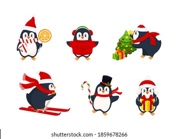Bundle of adorable cute penguins wearing winter clothing and hats. Active penguins in winter