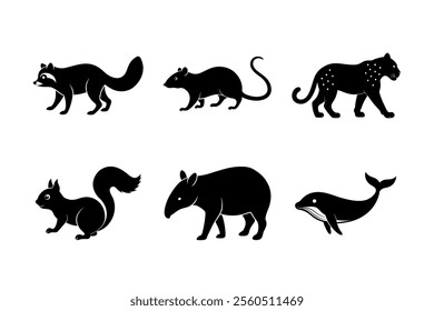 Bundle of animals raccoon, rat, snow, tapir, whale, squirrel