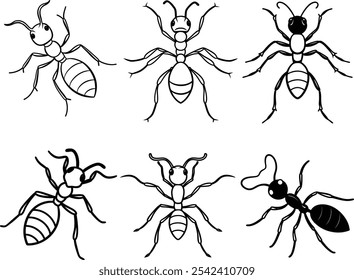 Bundle ant eps vector art and illustrator