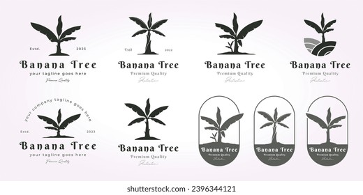 bundle banana tree logo vintage design set. simple banana tree logo vector design, banana tree vintage icon illustration
