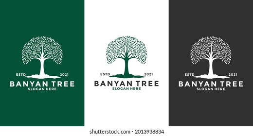 bundle banyan tree logo design template vintage style