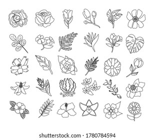 conjunto de hermosas flores y folletos iconos diseño de ilustraciones vectoriales
