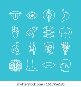 bundle of body parts and organs icons vector illustration design