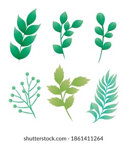 bundle of branches with leafs icons vector illustration design