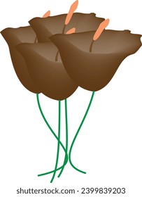 bundle of brown color flowe with green stem