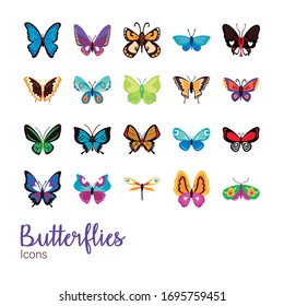 bundle of butterflies set icons vector illustration design