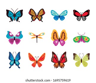 bundle of butterflies set icons vector illustration design