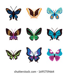 bundle of butterflies set icons vector illustration design