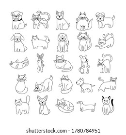 bundle of cats and dogs set icons vector illustration design