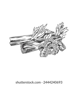 A bundle of celery sticks with detailed textures in a sketched style. A monochrome vector illustration, perfect for culinary themes.