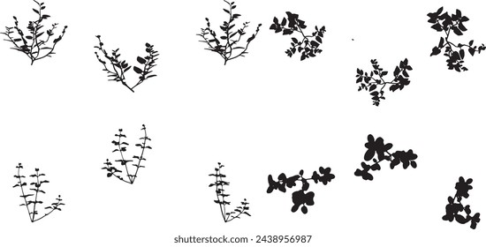 Colección De Paquetes De Siluetas De Forma De Planta - Conjunto De Siluetas Forma Abstracta 