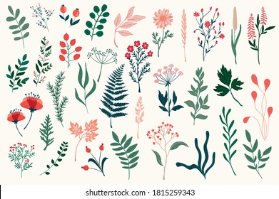 Bundle of colorful floral decorative elements. Botanical objects, floral graphic pack. Leaves, flowers, herbs and branches vector illustration. Perfect for Christmas and New Year greeting cards design