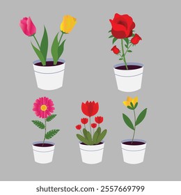 Bundle of colorful flowers in pots gardening theme set design white background vector illustration