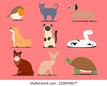 bundle of cute domestic and wild animals, reptiles, birds. Cute cartoon characters collection isolated on pink background. Colorful vector illustration in flat style.