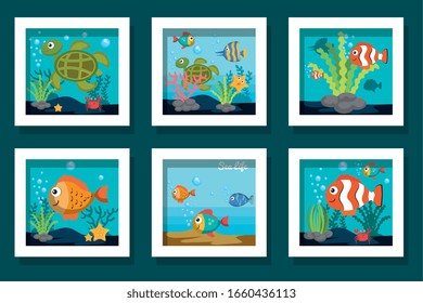 bundle designs of cute sea life icons vector illustration design