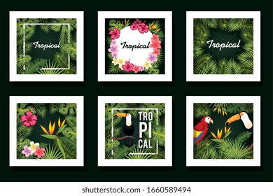 bundle designs of leafs and animals tropicals vector illustration design