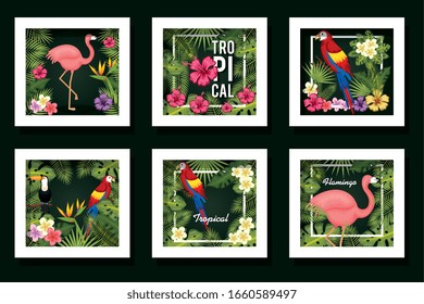 bundle designs of leafs and animals tropicals vector illustration design
