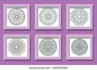 bundle designs of mandalas decoration vector illustration design