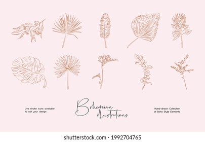 Bundle of detailed botanical drawings of blooming wild flowers. Collection of hand drawn plants with contour lines. Elegant botanical vector illustration.
