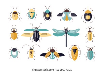Bundle of different colorful geometric insects with wings and antennas isolated on white background - bugs, beetles, firefly, ladybug, cricket. Cartoon vector illustration in modern flat style.