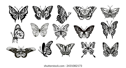 Bundle of different types of butterflies isolated.