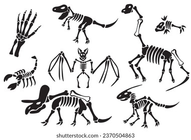 Bundle of dinosaur skeletons, dino bones, hand, Scorpio skeleton, Fish. Remains of ancient animals. Modern, Creative, fantasy vector flat design image illustration. Set of skeleton dino and dinosaur 