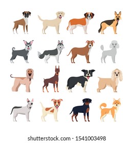 bundle of dog breeds group vector illustration design