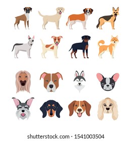 bundle of dog breeds group vector illustration design