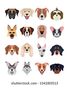 bundle of dog breeds group vector illustration design