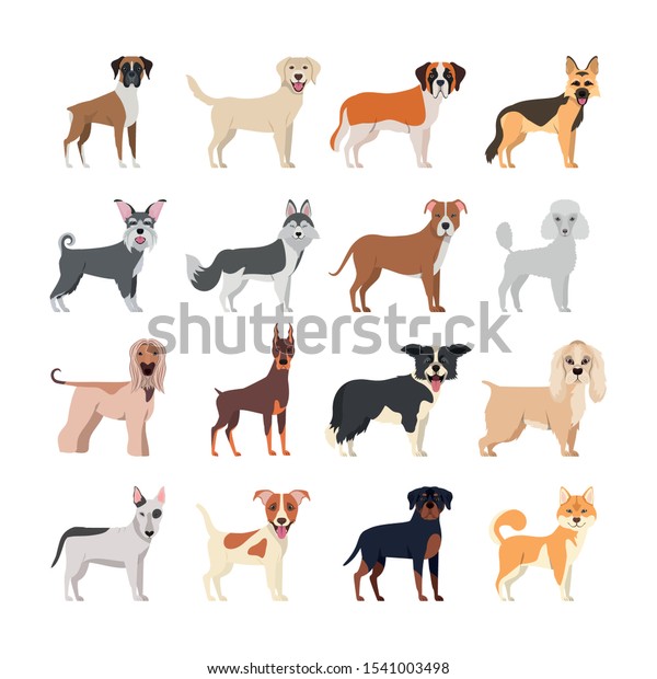 Bundle Dog Breeds Group Vector Illustration Stock Vector (royalty Free 