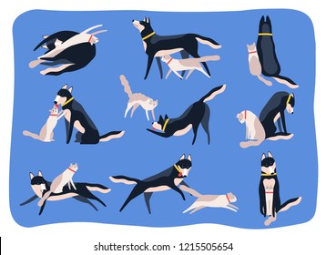 Bundle of dog and cat playing, chasing one another, sitting or lying together. Collection of pair of cute friends. Friendship between pets or domestic animals. Flat cartoon vector illustration.