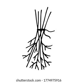 Bundle of dried herbs, tied with thread. Black and white vector illustration in doodle style. Single element. Ingredient for Witch Magic Potion