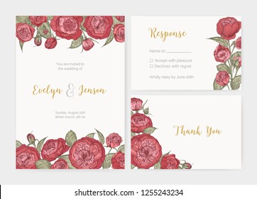 Bundle of elegant wedding invitation, response card and thank you note templates decorated by gorgeous blooming English rose flowers. Colorful botanical vector illustration for event celebration.