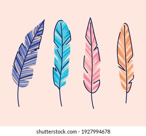 bundle of feather of different colors vector illustration design